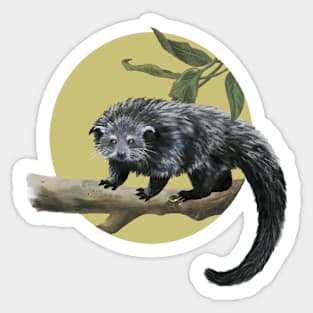 Binturong (Bear Cat) Sticker